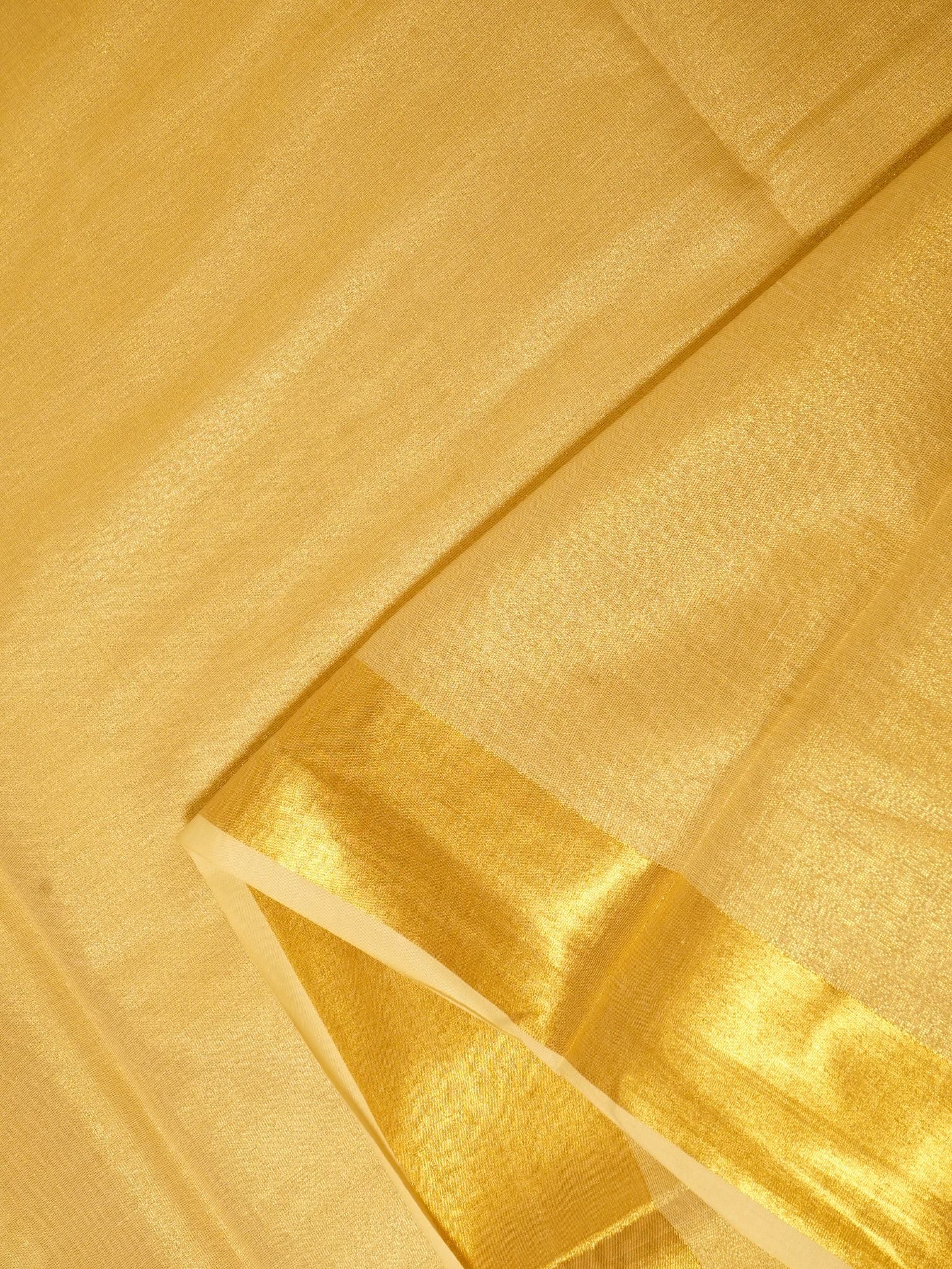 Golden Glow Saree